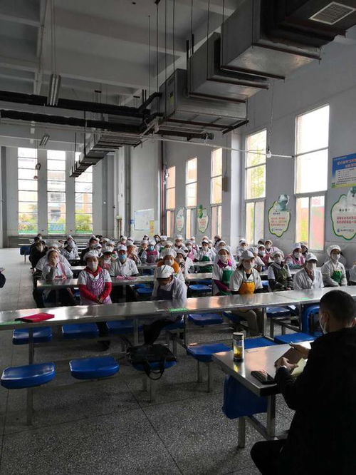 筑牢校园食品安全防线 射洪市经开区市场监管所深入绿然国际学校开展专项培训
