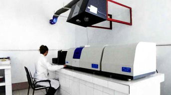 协会走访邢台三厦铸铁，共促铸造行业技术升级